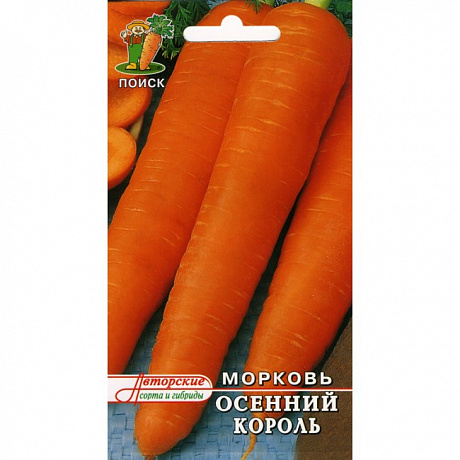 Морковь Осенний король фото Морковь Осенний король 